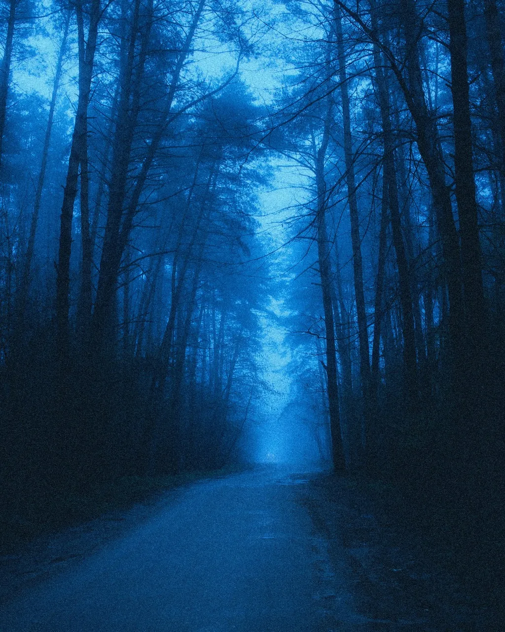 Forest road